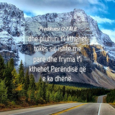 Picture 04 - Predikuesi 12:7 ALB - dhe pluhuri t’i kthehet tokës siç ishte më - Bible Verse Picture