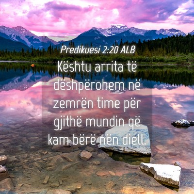 Picture 04 - Predikuesi 2:20 ALB - Kështu arrita të dëshpërohem në zemrën time - Bible Verse Picture