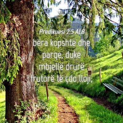 Picture 04 - Predikuesi 2:5 ALB - bëra kopshte dhe parqe, duke mbjellë drurë - Bible Verse Picture