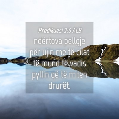 Picture 04 - Predikuesi 2:6 ALB - ndërtova pellgje për ujin me të cilat të mund - Bible Verse Picture