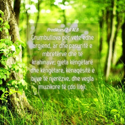 Picture 04 - Predikuesi 2:8 ALB - Grumbullova për vete edhe argjend, ar dhe - Bible Verse Picture