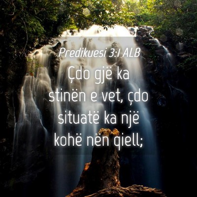 Picture 04 - Predikuesi 3:1 ALB - Çdo gjë ka stinën e vet, çdo situatë ka një - Bible Verse Picture