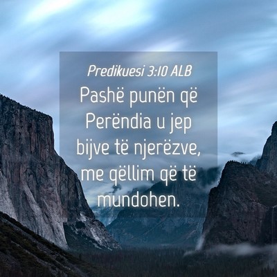 Picture 04 - Predikuesi 3:10 ALB - Pashë punën që Perëndia u jep bijve të - Bible Verse Picture
