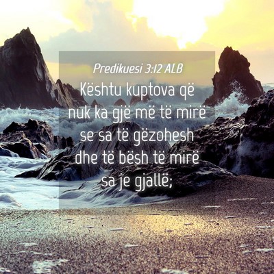 Picture 04 - Predikuesi 3:12 ALB - Kështu kuptova që nuk ka gjë më të mirë se - Bible Verse Picture