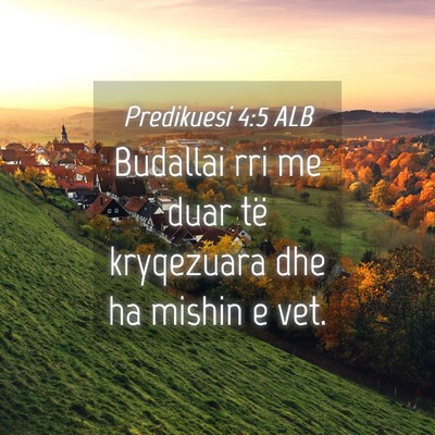 Picture 04 - Predikuesi 4:5 ALB - Budallai rri me duar të kryqezuara dhe ha mishin - Bible Verse Picture