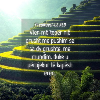 Picture 04 - Predikuesi 4:6 ALB - Vlen më tepër një grusht me pushim se sa dy - Bible Verse Picture