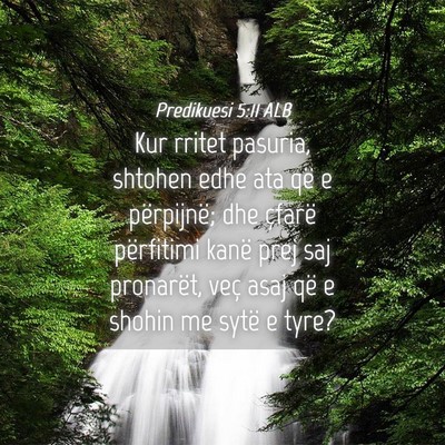 Picture 04 - Predikuesi 5:11 ALB - Kur rritet pasuria, shtohen edhe ata që e - Bible Verse Picture