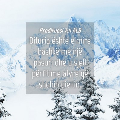 Picture 04 - Predikuesi 7:11 ALB - Dituria është e mirë bashkë me një pasuri - Bible Verse Picture