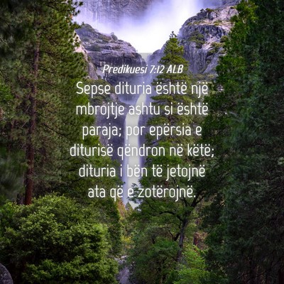 Picture 04 - Predikuesi 7:12 ALB - Sepse dituria është një mbrojtje ashtu si - Bible Verse Picture