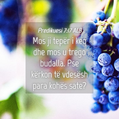 Picture 04 - Predikuesi 7:17 ALB - Mos ji tepër i keq dhe mos u trego budalla. Pse - Bible Verse Picture
