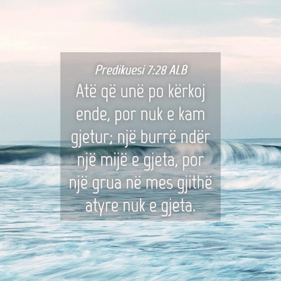 Picture 04 - Predikuesi 7:28 ALB - Atë që unë po kërkoj ende, por nuk e kam - Bible Verse Picture