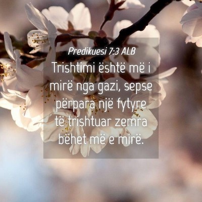 Picture 04 - Predikuesi 7:3 ALB - Trishtimi është më i mirë nga gazi, sepse - Bible Verse Picture