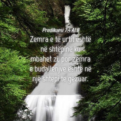 Picture 04 - Predikuesi 7:4 ALB - Zemra e të urtit është në shtëpinë ku - Bible Verse Picture