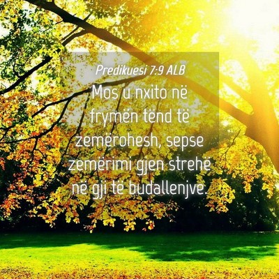 Picture 04 - Predikuesi 7:9 ALB - Mos u nxito në frymën tënd të zemërohesh, - Bible Verse Picture