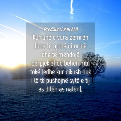 Picture 04 - Predikuesi 8:16 ALB - Kur unë e vura zemrën time të njohë diturinë - Bible Verse Picture