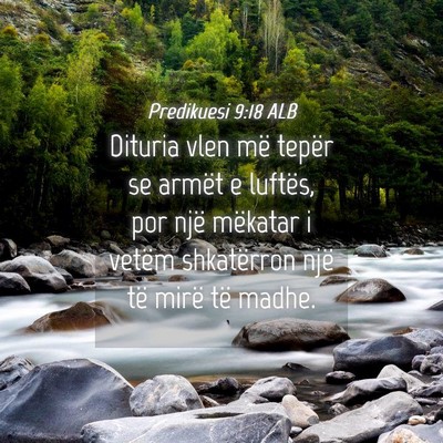 Picture 04 - Predikuesi 9:18 ALB - Dituria vlen më tepër se armët e luftës, por - Bible Verse Picture