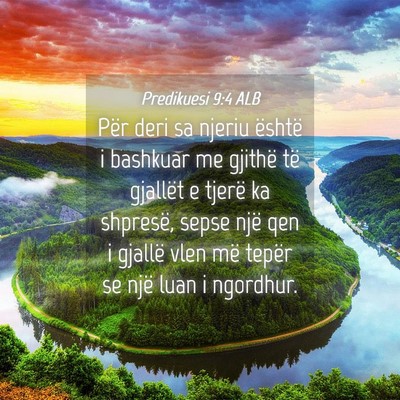 Picture 04 - Predikuesi 9:4 ALB - Për deri sa njeriu është i bashkuar me gjithë - Bible Verse Picture