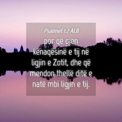 Picture 04 - Psalmet 1:2 ALB - por që gjen kënaqësinë e tij në ligjin e - Bible Verse Picture