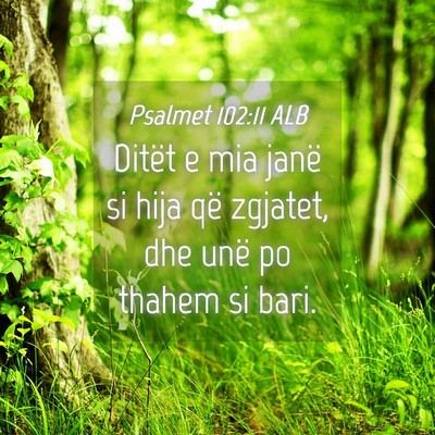 Picture 04 - Psalmet 102:11 ALB - Ditët e mia janë si hija që zgjatet, dhe unë - Bible Verse Picture