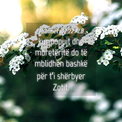Picture 04 - Psalmet 102:22 ALB - kur popujt dhe mbretëritë do të mblidhen - Bible Verse Picture