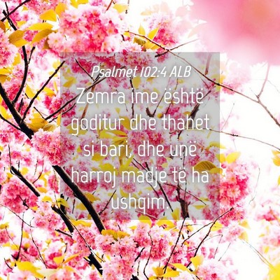 Picture 04 - Psalmet 102:4 ALB - Zemra ime është goditur dhe thahet si bari, dhe - Bible Verse Picture