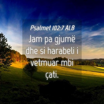 Picture 04 - Psalmet 102:7 ALB - Jam pa gjumë dhe si harabeli i vetmuar mbi - Bible Verse Picture