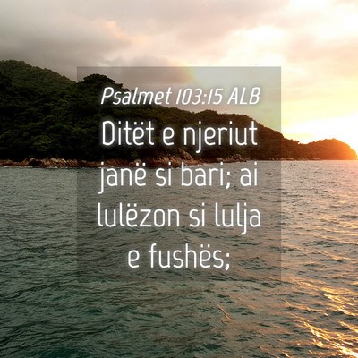 Picture 04 - Psalmet 103:15 ALB - Ditët e njeriut janë si bari; ai lulëzon si - Bible Verse Picture