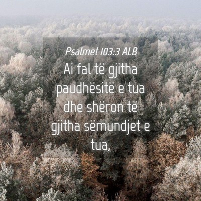 Picture 04 - Psalmet 103:3 ALB - Ai fal të gjitha paudhësitë e tua dhe shëron - Bible Verse Picture