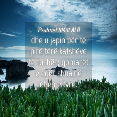 Picture 04 - Psalmet 104:11 ALB - dhe u japin për të pirë tërë kafshëve të - Bible Verse Picture