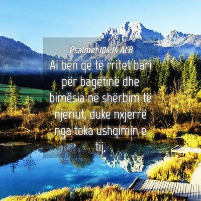Picture 04 - Psalmet 104:14 ALB - Ai bën që të rritet bari për bagëtinë dhe - Bible Verse Picture