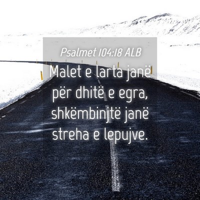 Picture 04 - Psalmet 104:18 ALB - Malet e larta janë për dhitë e egra, - Bible Verse Picture
