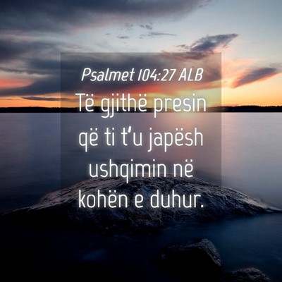 Picture 04 - Psalmet 104:27 ALB - Të gjithë presin që ti t’u japësh ushqimin - Bible Verse Picture