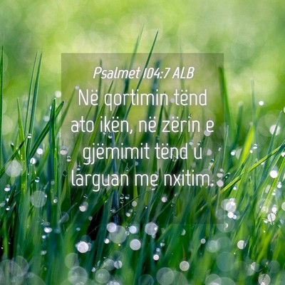 Picture 04 - Psalmet 104:7 ALB - Në qortimin tënd ato ikën, në zërin e - Bible Verse Picture