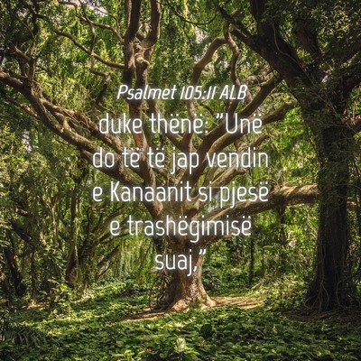 Picture 04 - Psalmet 105:11 ALB - duke thënë: 