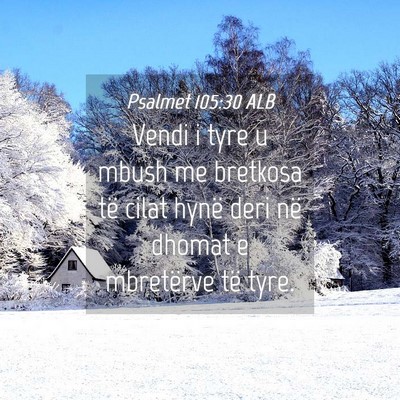 Picture 04 - Psalmet 105:30 ALB - Vendi i tyre u mbush me bretkosa të cilat hynë - Bible Verse Picture