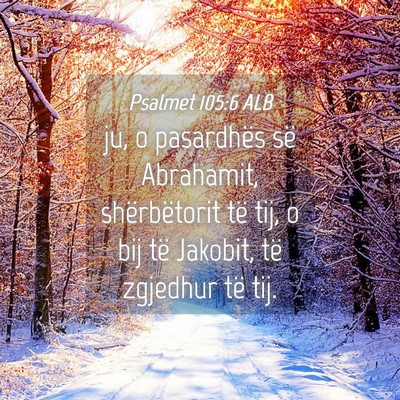 Picture 04 - Psalmet 105:6 ALB - ju, o pasardhës së Abrahamit, shërbëtorit të - Bible Verse Picture