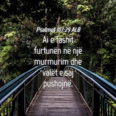 Picture 04 - Psalmet 107:29 ALB - Ai e fashit furtunën në një murmurim dhe - Bible Verse Picture