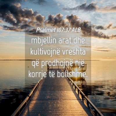 Picture 04 - Psalmet 107:37 ALB - mbjellin arat dhe kultivojnë vreshta që - Bible Verse Picture