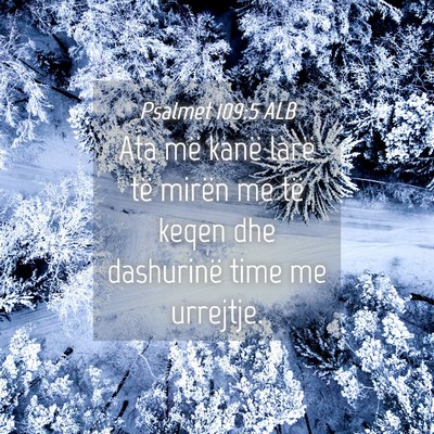 Picture 04 - Psalmet 109:5 ALB - Ata më kanë larë të mirën me të keqen dhe - Bible Verse Picture