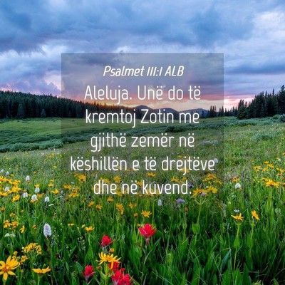 Picture 04 - Psalmet 111:1 ALB - Aleluja. Unë do të kremtoj Zotin me gjithë - Bible Verse Picture