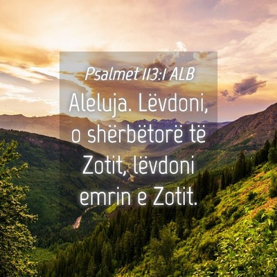 Picture 04 - Psalmet 113:1 ALB - Aleluja. Lëvdoni, o shërbëtorë të Zotit, - Bible Verse Picture