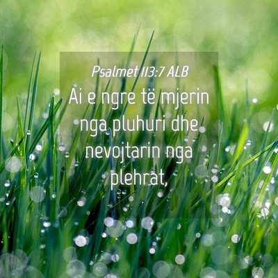 Picture 04 - Psalmet 113:7 ALB - Ai e ngre të mjerin nga pluhuri dhe nevojtarin - Bible Verse Picture