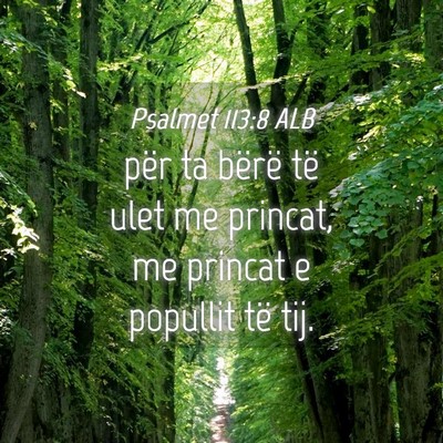 Picture 04 - Psalmet 113:8 ALB - për ta bërë të ulet me princat, me princat e - Bible Verse Picture