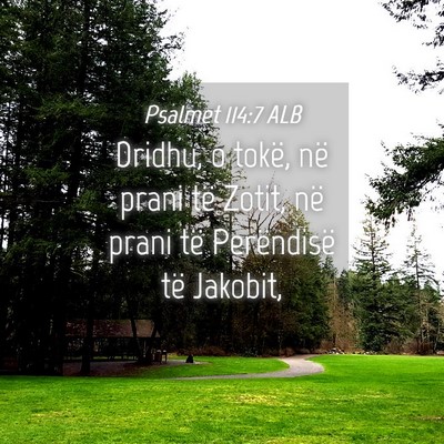 Picture 04 - Psalmet 114:7 ALB - Dridhu, o tokë, në prani të Zotit, në prani - Bible Verse Picture