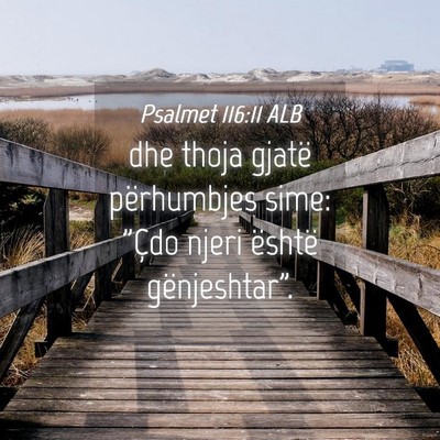 Picture 04 - Psalmet 116:11 ALB - dhe thoja gjatë përhumbjes sime: 