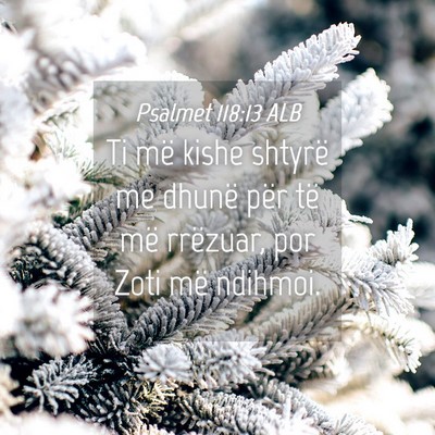 Picture 04 - Psalmet 118:13 ALB - Ti më kishe shtyrë me dhunë për të më - Bible Verse Picture