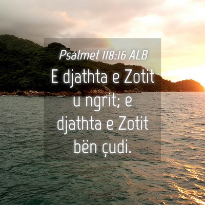 Picture 04 - Psalmet 118:16 ALB - E djathta e Zotit u ngrit; e djathta e Zotit bën - Bible Verse Picture