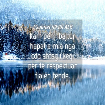 Picture 04 - Psalmet 119:101 ALB - Kam përmbajtur hapat e mia nga çdo shteg i keq, - Bible Verse Picture