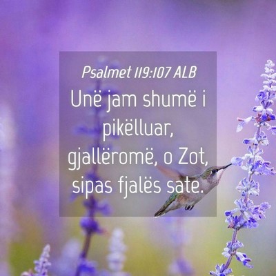 Picture 04 - Psalmet 119:107 ALB - Unë jam shumë i pikëlluar, gjallëromë, o - Bible Verse Picture