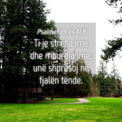 Picture 04 - Psalmet 119:114 ALB - Ti je streha ime dhe mburoja ime; unë shpresoj - Bible Verse Picture